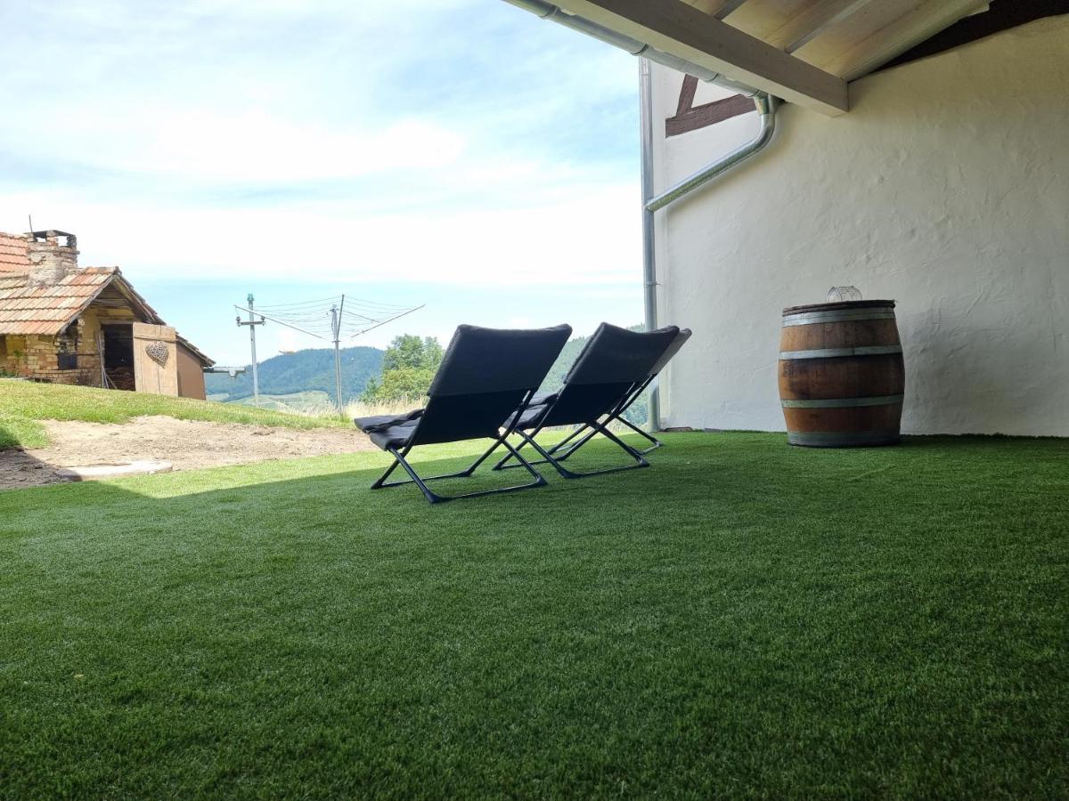 Haus Am Berg Mit Wellnessbereich, Bar Und Panorama Villa Bühlertal Eksteriør billede