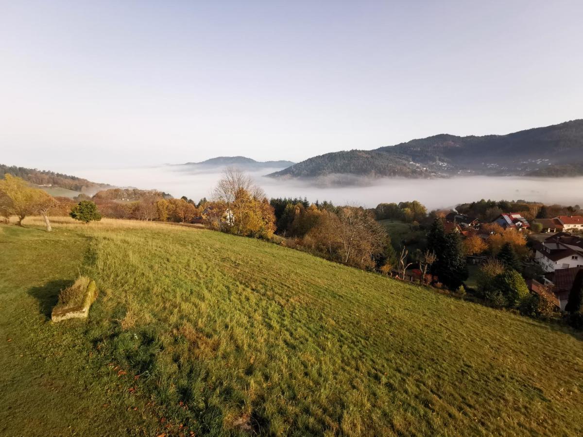 Haus Am Berg Mit Wellnessbereich, Bar Und Panorama Villa Bühlertal Eksteriør billede
