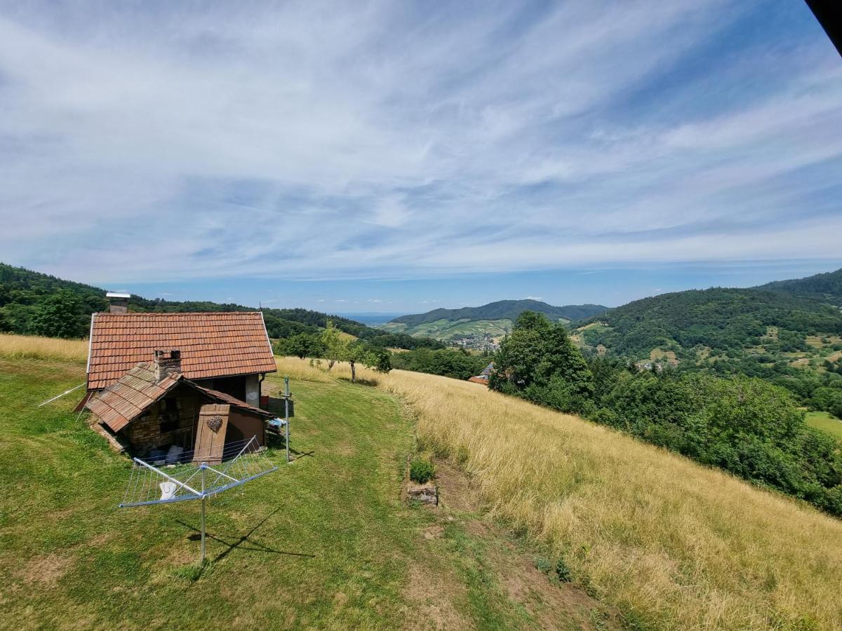 Haus Am Berg Mit Wellnessbereich, Bar Und Panorama Villa Bühlertal Eksteriør billede
