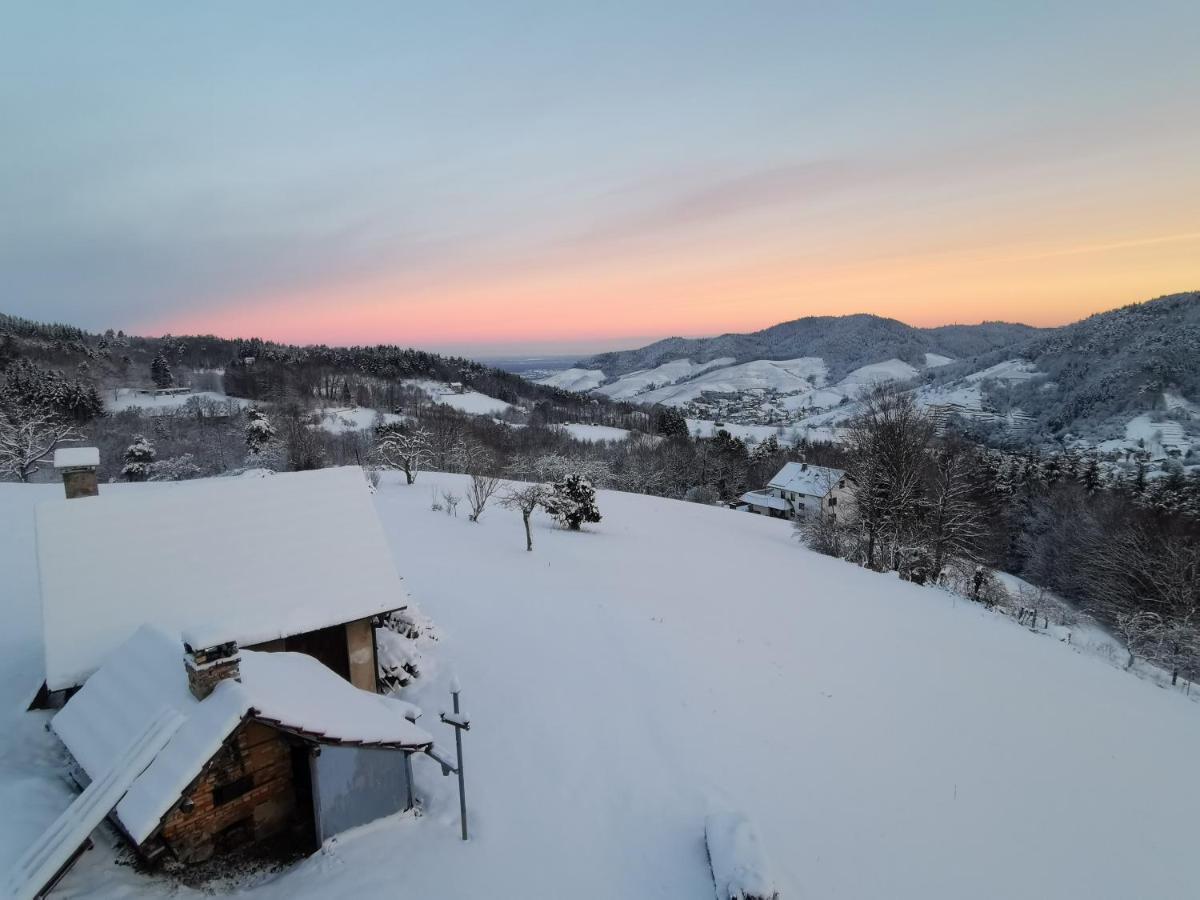 Haus Am Berg Mit Wellnessbereich, Bar Und Panorama Villa Bühlertal Eksteriør billede