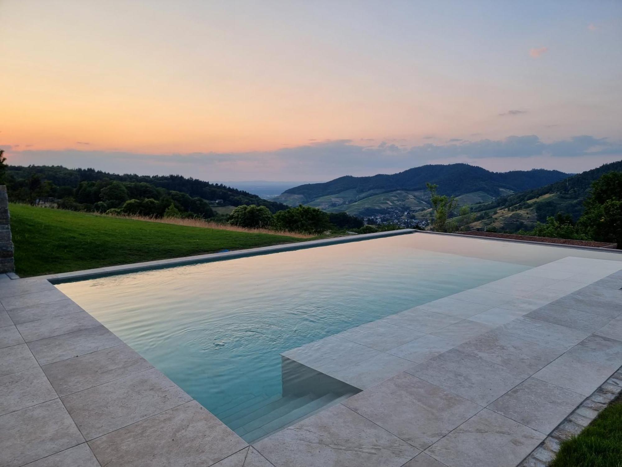Haus Am Berg Mit Wellnessbereich, Bar Und Panorama Villa Bühlertal Eksteriør billede